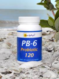 PB-6 Probiotic 120